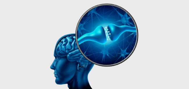 Benefícios do GABA Benefícios do GABA