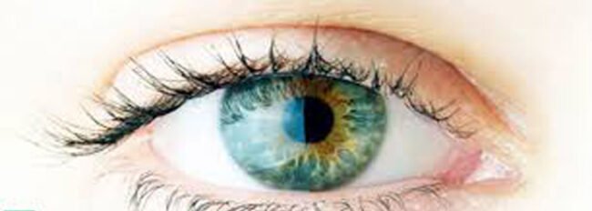 Suplementos para melhorar a saúde dos olhos